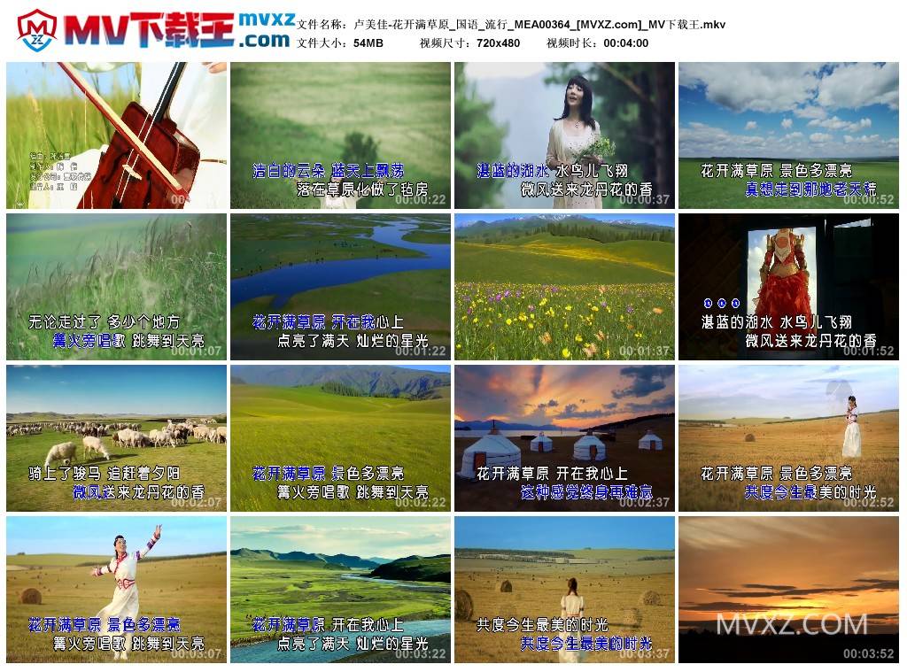 卢美佳-花开满草原_国语_流行_MEA00364